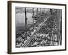 Opening of the Sydney Harbour Bridge-null-Framed Photographic Print