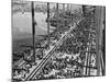 Opening of the Sydney Harbour Bridge-null-Mounted Photographic Print