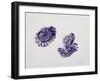 Opening Pine Cone, 2000-Rebecca John-Framed Giclee Print