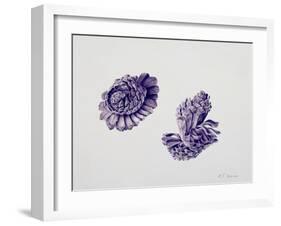 Opening Pine Cone, 2000-Rebecca John-Framed Giclee Print