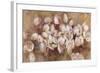 Opening Tulips-li bo-Framed Giclee Print