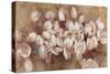 Opening Tulips-li bo-Stretched Canvas