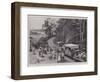 Opening Up a New Country, a Wayside Station on the Railway in British North Borneo-Henry Marriott Paget-Framed Giclee Print