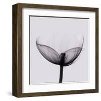 Opening-Marianne Haas-Framed Art Print