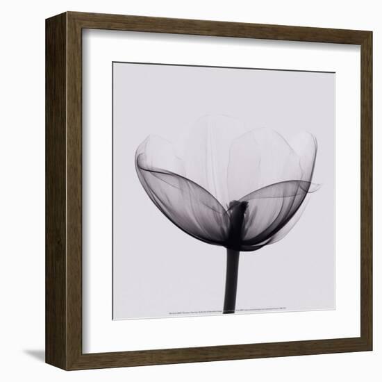 Opening-Marianne Haas-Framed Art Print