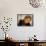 Opera Diva, Soprano Renee Fleming-Ted Thai-Framed Stretched Canvas displayed on a wall