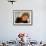 Opera Diva, Soprano Renee Fleming-Ted Thai-Framed Premium Photographic Print displayed on a wall