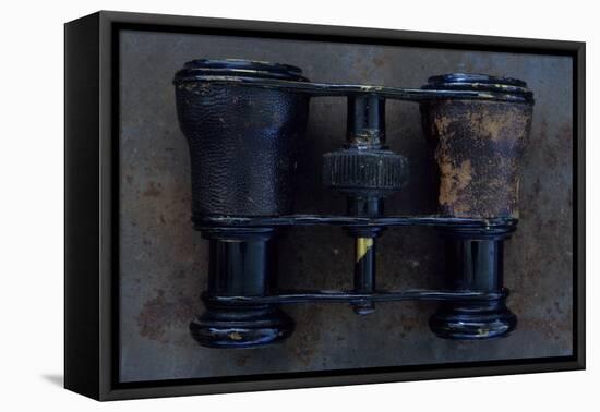 Opera Glasses-Den Reader-Framed Stretched Canvas