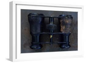 Opera Glasses-Den Reader-Framed Photographic Print