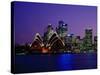 Opera House and City Skyline at Dusk, Sydney, Australia-Richard I'Anson-Stretched Canvas