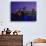 Opera House and City Skyline at Dusk, Sydney, Australia-Richard I'Anson-Photographic Print displayed on a wall