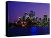 Opera House and City Skyline at Dusk, Sydney, Australia-Richard I'Anson-Stretched Canvas