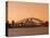 Opera House and Harbour Bridge, Sydney, New South Wales, Australia-Sergio Pitamitz-Stretched Canvas