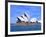 Opera House Close-up, Sydney, Australia-Bill Bachmann-Framed Photographic Print