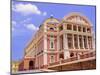 Opera House, Manaus, Amazonas, Brazil, South America-Nico Tondini-Mounted Photographic Print