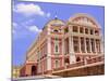 Opera House, Manaus, Amazonas, Brazil, South America-Nico Tondini-Mounted Photographic Print