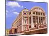 Opera House, Manaus, Amazonas, Brazil, South America-Nico Tondini-Mounted Photographic Print