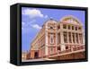 Opera House, Manaus, Amazonas, Brazil, South America-Nico Tondini-Framed Stretched Canvas