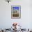 Opera House, Odessa, Crimea, Ukraine, Europe-Richard Cummins-Framed Photographic Print displayed on a wall