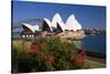 Opera House, Sydney, New South Wales, Australia-null-Stretched Canvas