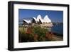 Opera House, Sydney, New South Wales, Australia-null-Framed Art Print