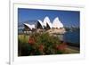 Opera House, Sydney, New South Wales, Australia-null-Framed Art Print