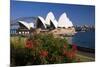 Opera House, Sydney, New South Wales, Australia-null-Mounted Art Print