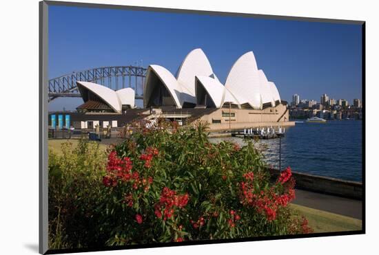 Opera House, Sydney, New South Wales, Australia-null-Mounted Art Print