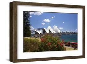 Opera House, Sydney, New South Wales, Australia-null-Framed Art Print