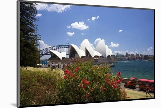 Opera House, Sydney, New South Wales, Australia-null-Mounted Art Print