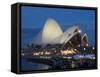 Opera House, Sydney, New South Wales, Australia-Michele Falzone-Framed Stretched Canvas