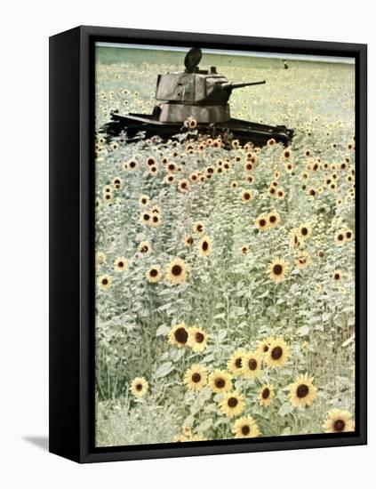Operation Barbarossa, 1942-German photographer-Framed Stretched Canvas