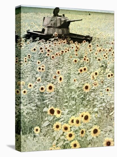 Operation Barbarossa, 1942-German photographer-Stretched Canvas