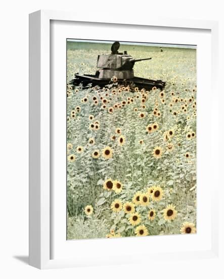 Operation Barbarossa, 1942-German photographer-Framed Photographic Print