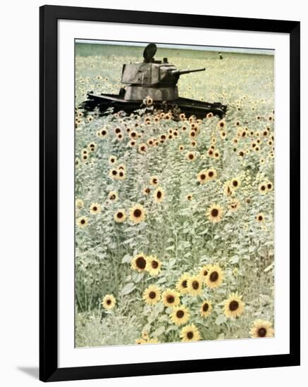 Operation Barbarossa, 1942-German photographer-Framed Photographic Print