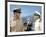 Operation Petticoat (photo)-null-Framed Photo