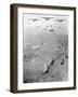 Operation Phi Hoa II-null-Framed Photographic Print