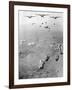 Operation Phi Hoa II-null-Framed Photographic Print