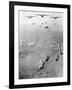 Operation Phi Hoa II-null-Framed Photographic Print