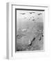 Operation Phi Hoa II-null-Framed Photographic Print