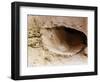 Operation Plowshare, Sedan Crater-Science Source-Framed Giclee Print