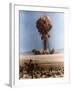 Operation Plumbbob FIZEAU, 1957-Science Source-Framed Giclee Print