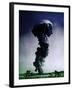 Operation Upshot-Knothole ENCORE, 1953-Science Source-Framed Giclee Print