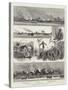 Operations of British Naval Forces on the River Niger-null-Stretched Canvas