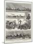 Operations of British Naval Forces on the River Niger-null-Mounted Giclee Print