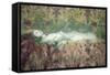 Ophelia, 2017-David McConochie-Framed Stretched Canvas