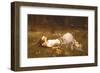 Ophelia, c.1889-John William Waterhouse-Framed Art Print