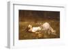 Ophelia, c.1889-John William Waterhouse-Framed Art Print