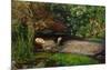 Ophelia, ca. 1851-John Everett Millais-Mounted Giclee Print