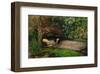 Ophelia, ca. 1851-John Everett Millais-Framed Art Print